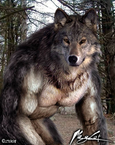 Werewolf_Photomorph_by_Maglot
